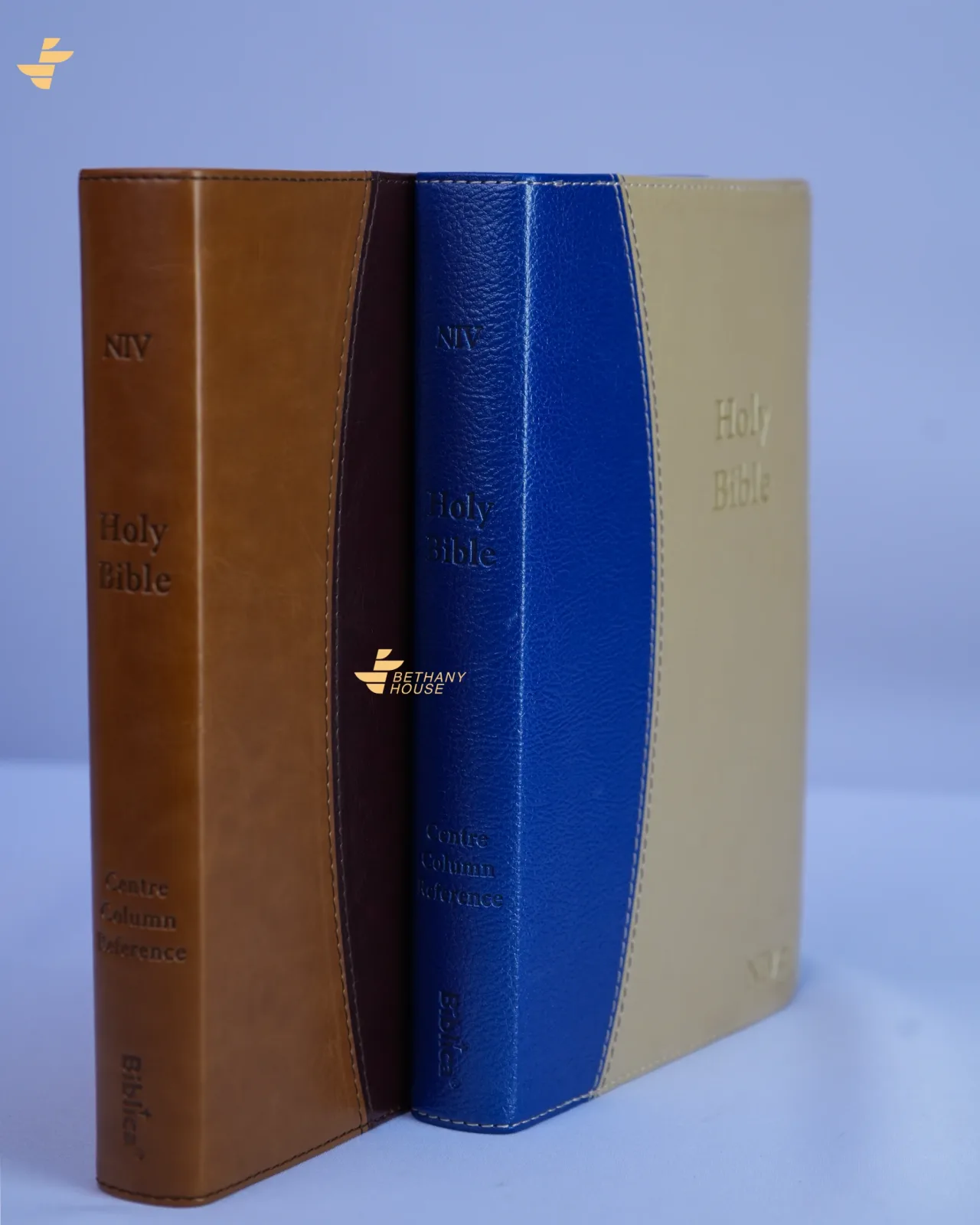 NIV BIBLE